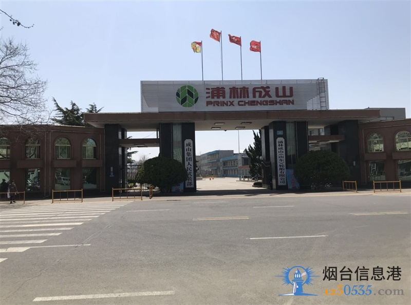 浦林成山(山东)轮胎有限公司