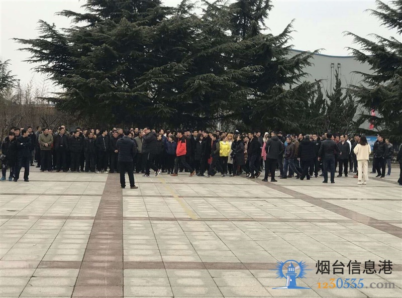 浦林成山(山东)轮胎有限公司