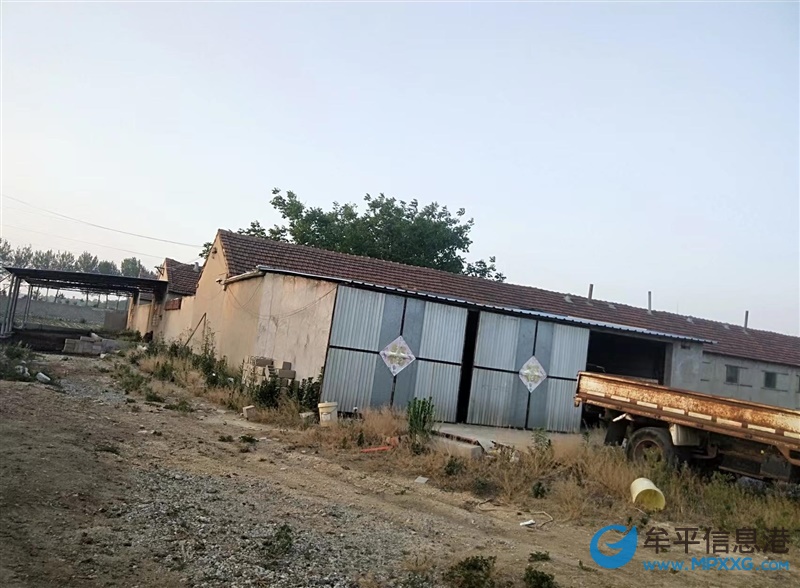 养鸡场对外出租 