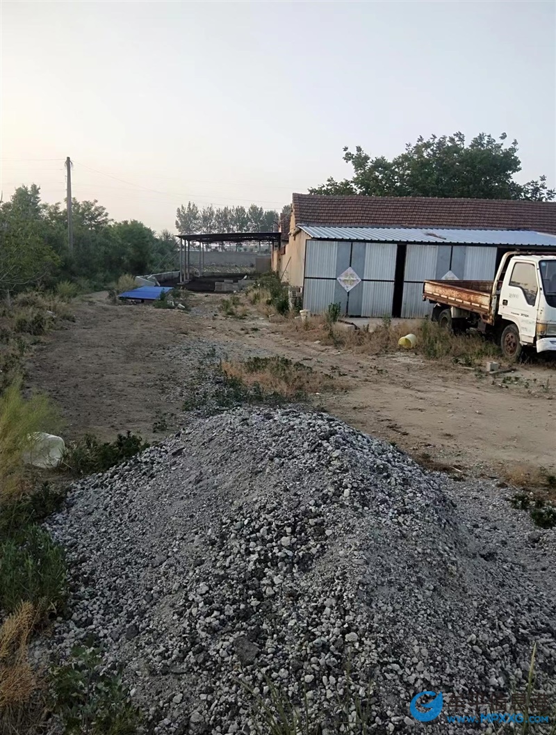 养鸡场对外出租 