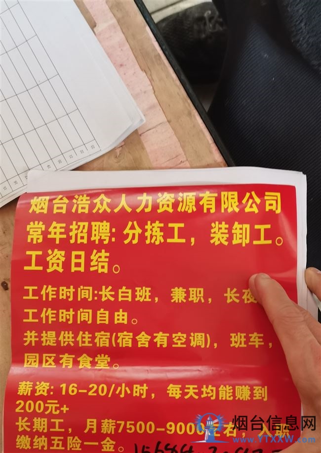 招聘日结工