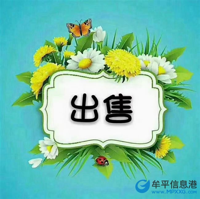 出售东泰百合公馆电梯房，毛坯，南向