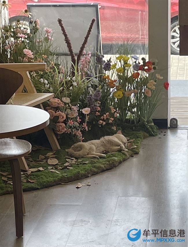 营业中的奶茶酒吧店转让