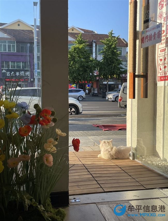 营业中的奶茶酒吧店转让